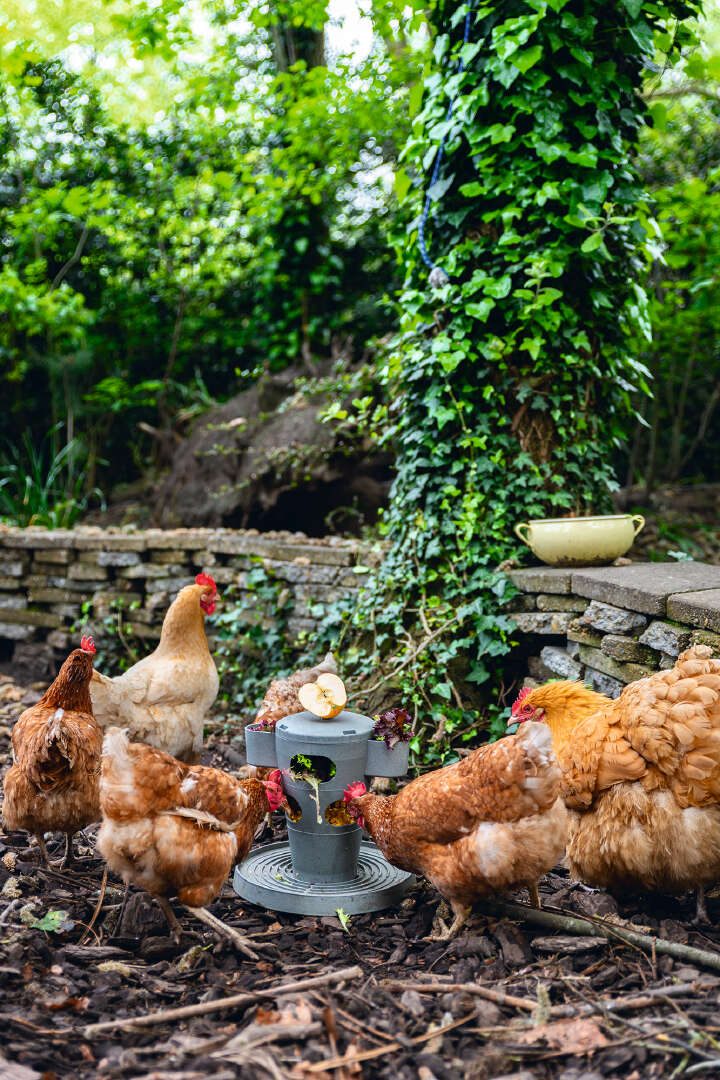 beeztees Hühner Snackturm